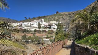 GC-Tejeda 2025-124.jpg